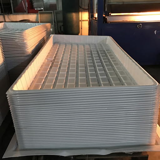 thermoformed tray